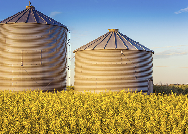 Our farm insurance solutions keep up with the changing risks of the farming industry.