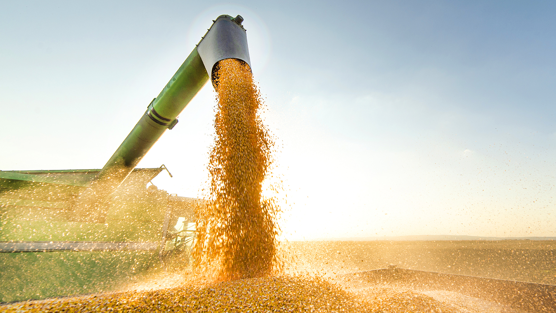 The Do’s & Don’ts of Grain Augers
